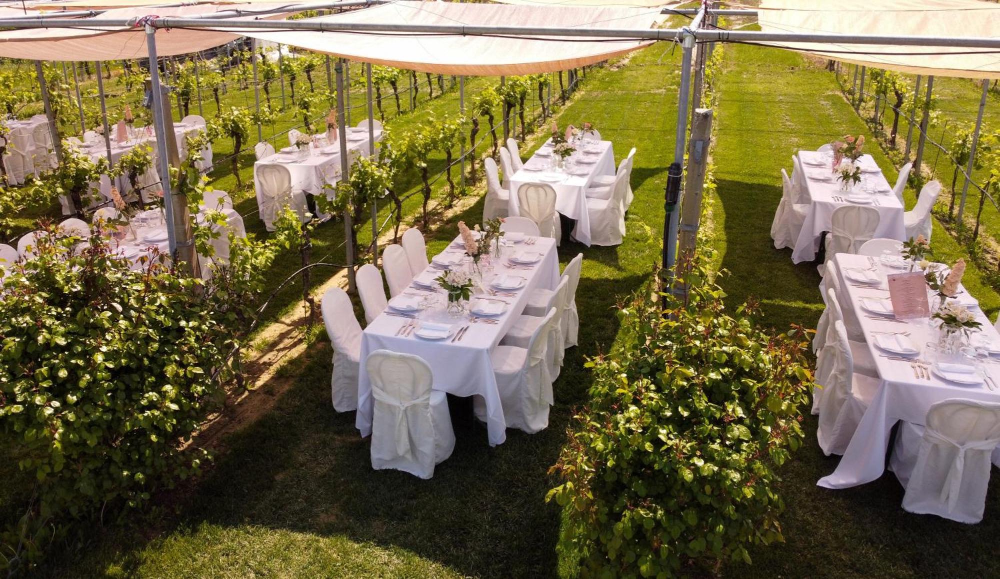 Podere Riosto Cantina&Agriturismo Pianoro Extérieur photo