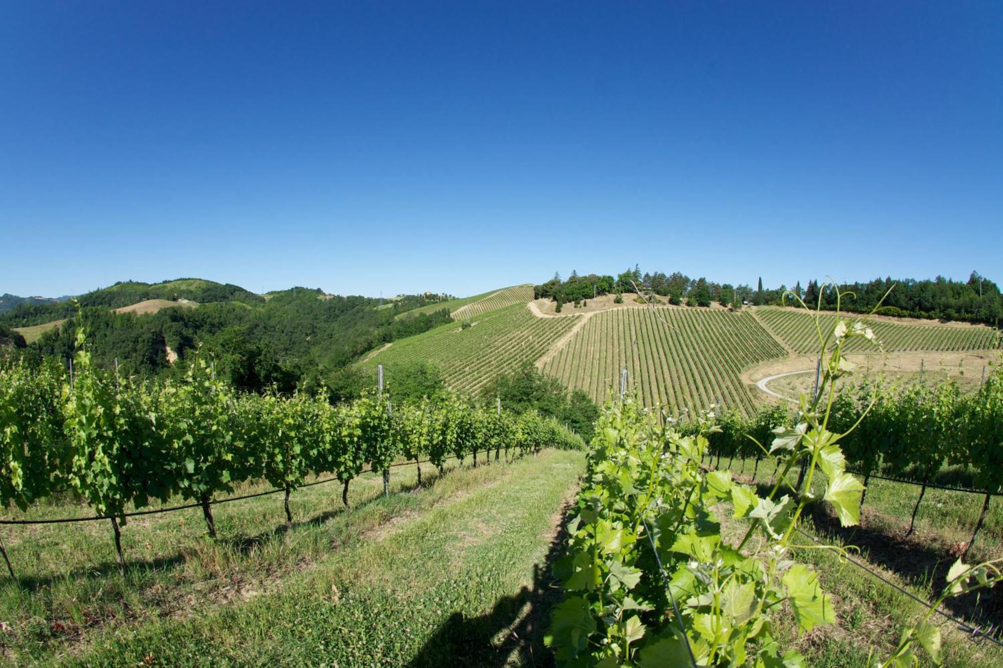 Podere Riosto Cantina&Agriturismo Pianoro Extérieur photo