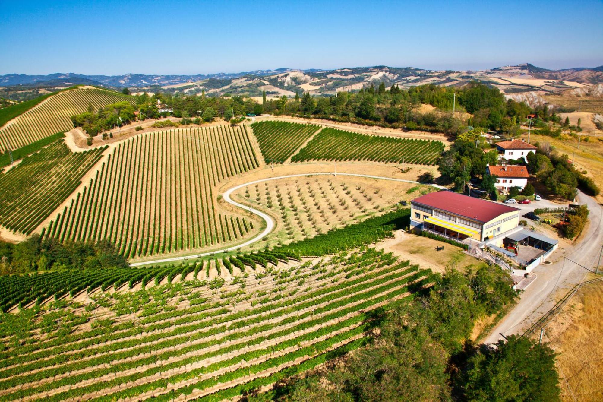 Podere Riosto Cantina&Agriturismo Pianoro Extérieur photo